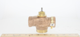 Picture of 1 INCH NPT 3-WAY MIXING GLOBE VALVE 14CV BRONZE BODY
