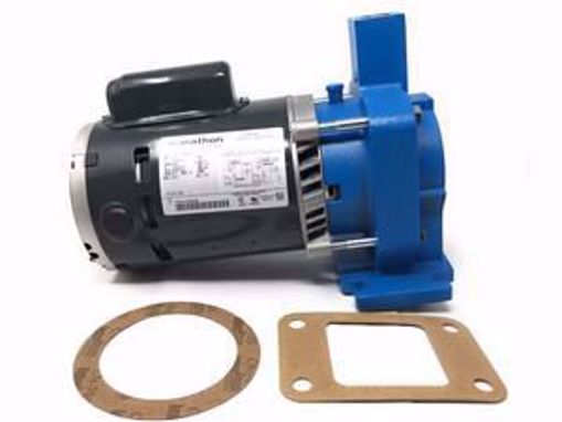 Bell & Gossett 115/230 V, Condensate Pump Replacement Pump and Motor For  Use With 609PF and ITT Hoffman Watchman Series WC Condensate Units 180001 