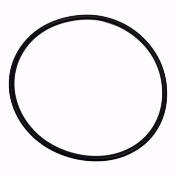 Picture of O-RING