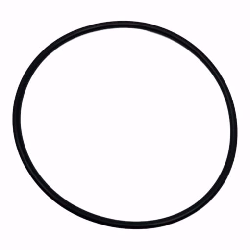 Picture of O-RING
