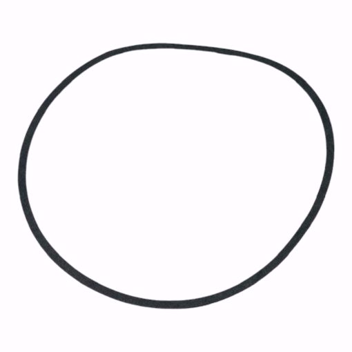 Picture of B-200 BODY GASKET TO FIT B&G SERIES 80 PUMPS, P48690