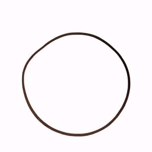 Picture of P48690 BELL & GOSSETT BODY GASKET FOR 1510 SERIES