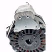 Picture of J31R04094-002 Sterling J31R04094-002 1/3 HP 115V 1PH  ODP Fan Motor