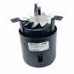 Picture of J31R01125 Sterling J31R01125 115V Power Vent Inducer Motor For QV Series Enerpak Units