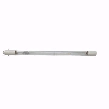 Picture of LAMP