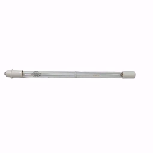 Picture of LAMP