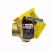 Picture of 0346045 415 3/4 15# 450#/HR STEAMRELF