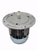 Picture of RIELLO MOTOR 1/2 HP, 3450 RPM, 120V 60HZ