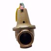 Picture of WATTS #740  RELIEF VALVE 2 X 2-1/2 SET @ 30PSI