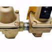 Picture of 0388805 WATTS T1450F 1/2 IPS DUAL UNIT IRON SET12/30PSI
