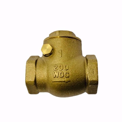 Picture of 0123496 1 INCH LFWCV CHECK VALVE