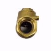 Picture of 0123496 1 INCH LFWCV CHECK VALVE