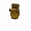 Picture of 0123495 3/4 INCH LFWCV CHECK VALVE