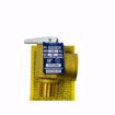 Picture of 0342692 3/4 INCH RELIEF VALVE M335-M2 510,000 BTU