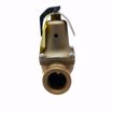 Picture of 0382456 WATTS 740 3/4 X 1 RELIEF VALVE SET AT 75 PSI