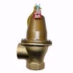 Picture of WATTS 1-1/4 RELIEF VALVE SET @ 30 PSI 1682000BTU 174A11430