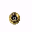 Picture of EN60030 ELITE 3/4 INCH NPT FULL BORE CHECK VALVE FOR OIL