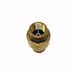 Picture of EN60020 ELITE 1/2 INCH NPT FULL BORE CHECK VALVE FOR OIL