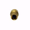 Picture of EN60020 ELITE 1/2 INCH NPT FULL BORE CHECK VALVE FOR OIL