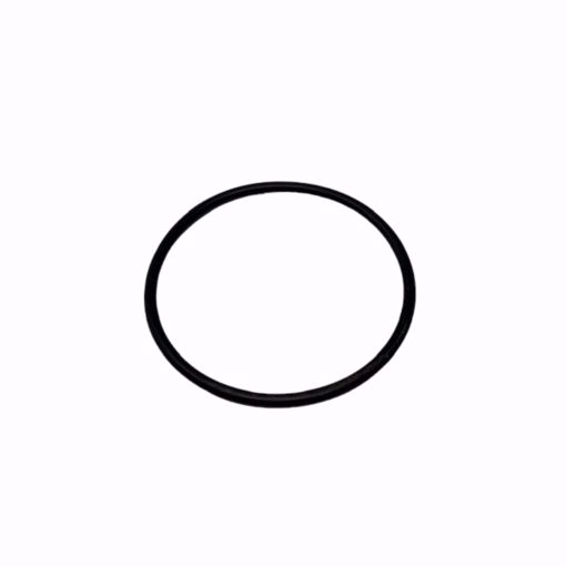 Picture of O-RING FOR SMALL HAYWOOD STRAINER