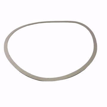 Picture of 426401-004 10 INCH GASKET