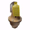 Picture of WATTS #740 RELIEF VALVE @40 PSI 2 X 2 1/2   740240