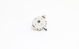 Picture of .10WC PRESSURE SWITCH