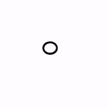 Picture of O-RING