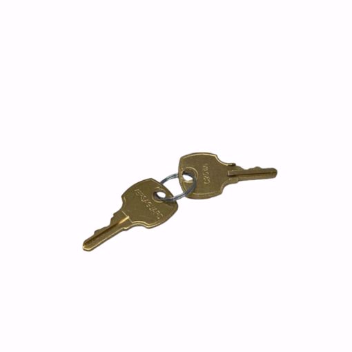 Picture of SET OF 2 REPLACEMENT KEYS FOR ALL TG510 TG511 TG512S.
