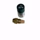 Picture of DELAVAN 0.70 GPH 80° W NOZZLE W/ SINTERED FILTER