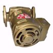 Picture of 1BL013LF Bell & Gossett 1BL013 Lead Free PL30B 1/12 HP 115 Volt Single Phase Bronze Pump