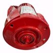 Picture of 169230 Bell & Gossett 169230 Power Pack (Ball Bearing Motor) 3/4 HP 115/230 Volt, 1 Phase, 1725 RPM