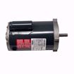 Picture of 1 HP 3450 RPM 56C 1/60/115/208-230 MOTOR