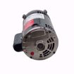 Picture of 1 HP 3450 RPM 56C 1/60/115/208-230 MOTOR