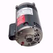 Picture of 1 HP 3450 RPM 56C 1/60/115/208-230 MOTOR