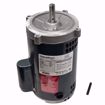 Picture of 1 HP 3450 RPM 56C 1/60/115/208-230 MOTOR