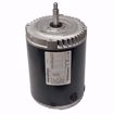 Picture of K225 2HP 208-230/460V 3450RPM Motor