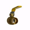 Picture of H-51704W 1 CXC LF FP BR BL VALVE, 5170W