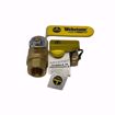 Picture of 3/4 IPS BALL DRAIN, 4061