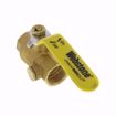 Picture of H-41723 3/4 IPS FP BR BL VALVE W/IPS HOLE, 4172