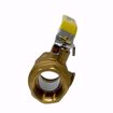 Picture of 1 IPS FP BR BL VALVE W/IPS HOLE, 4172