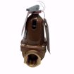 Picture of 181905 MCDONNELL & MILLER Relief Valve 3/4 NPT, 60 psi (4.2 kg/cm2) Part # 250-3/4-60