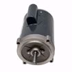 Picture of 1/2 HP 3450 RPM 56C FRAME 115/230V MOTOR