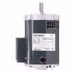 Picture of 3/4 HP 3450 RPM 56C FRAME 115/230V 1PH MOTOR