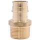 Picture of 1 NL 1960 X 1/2 MPT ADAPTER