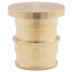 Picture of 1 NL PEX PLUG - F1960