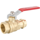 Picture of 1 P-203NL PRESS X FNPT BALL VALVE