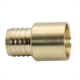 Picture of 1 PEX X 1 FTG ADAPTER