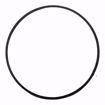 Picture of P57410 Bell & Gossett P57410 Body Gasket For 186863 And 185332 Bearing Assemblies