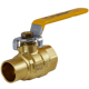 Picture of 1 T-1007 IPS X C BALL VALVE